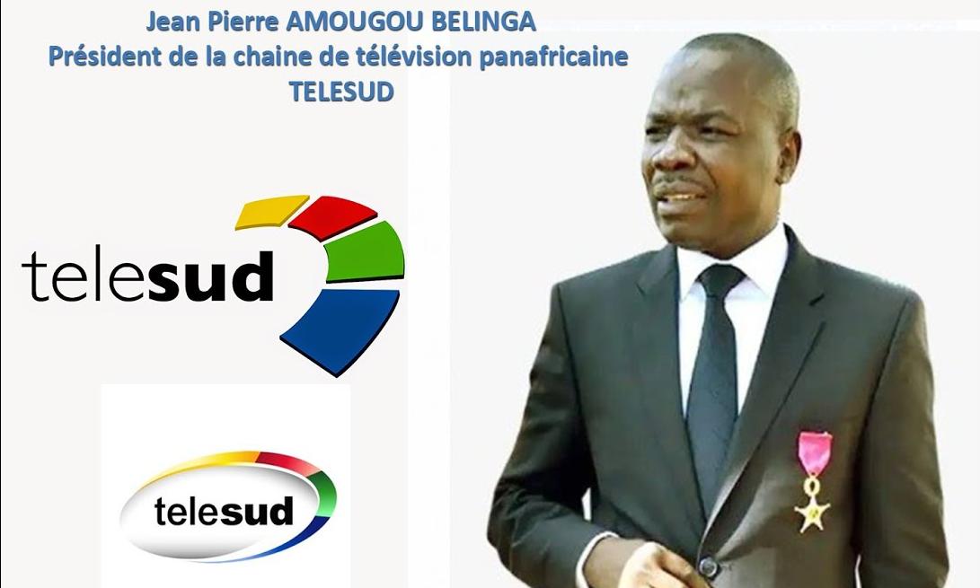 Cameroun/ Groupe l’Anecdote : TELESUD , un rêve brisé ?