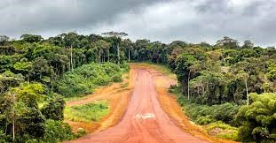 Cameroun/Rétrocession du Massif forestier d’EBO : H. Moth en Holocauste par une certaine diaspora Banen ?