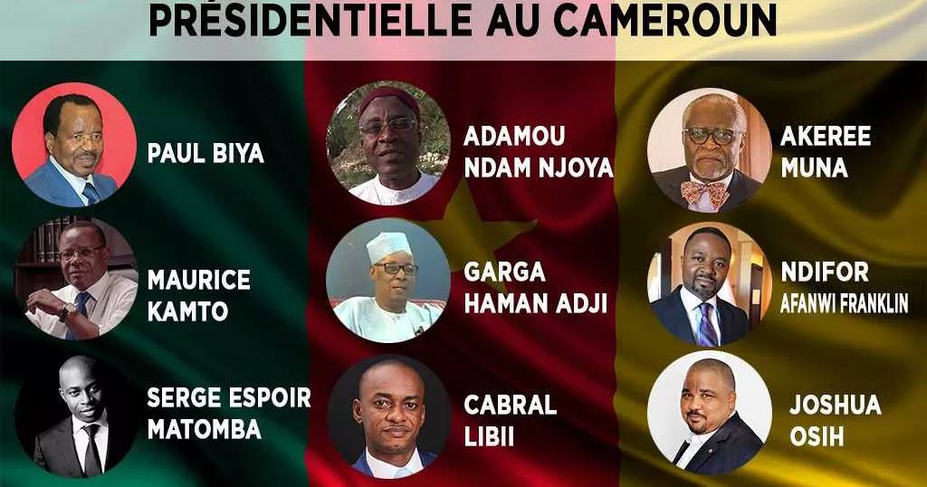 Cameroun/Politique : Présidentielle 2018, Que sont-ils devenus ?