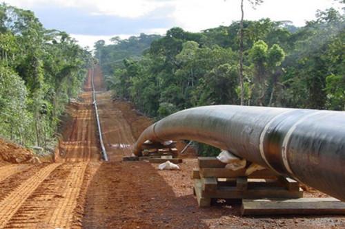 Cameroun-Niger/ Energie : Un nouveau Pipeline en vue !