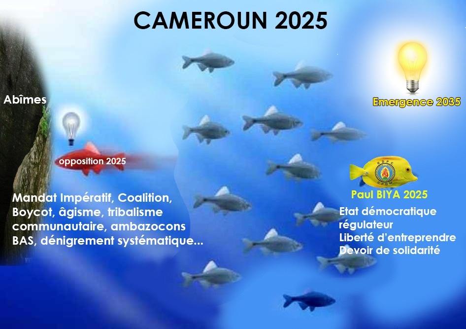 Présidentielle 2025 : à contre-courant !