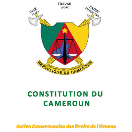 Modification de la Constitution : ” Pour un fonctionnement plus efficient de l’ État “