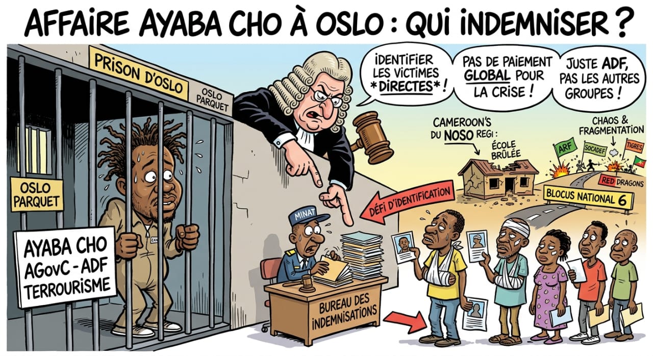 Affaire Ayaba Cho à Oslo : qui indemniser ?