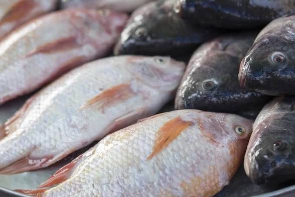 Importation de poisson : la pénurie, comme outil de chantage ! ! Importation de poisson : la pénurie, comme outil de chantage ! !